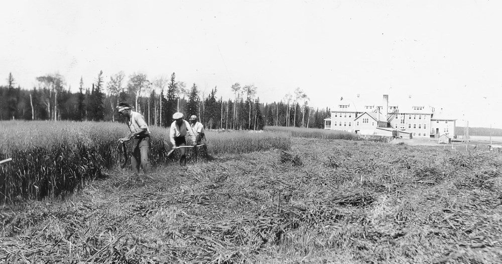 Harvesting