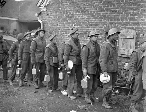 Argylls Chow Line Veen