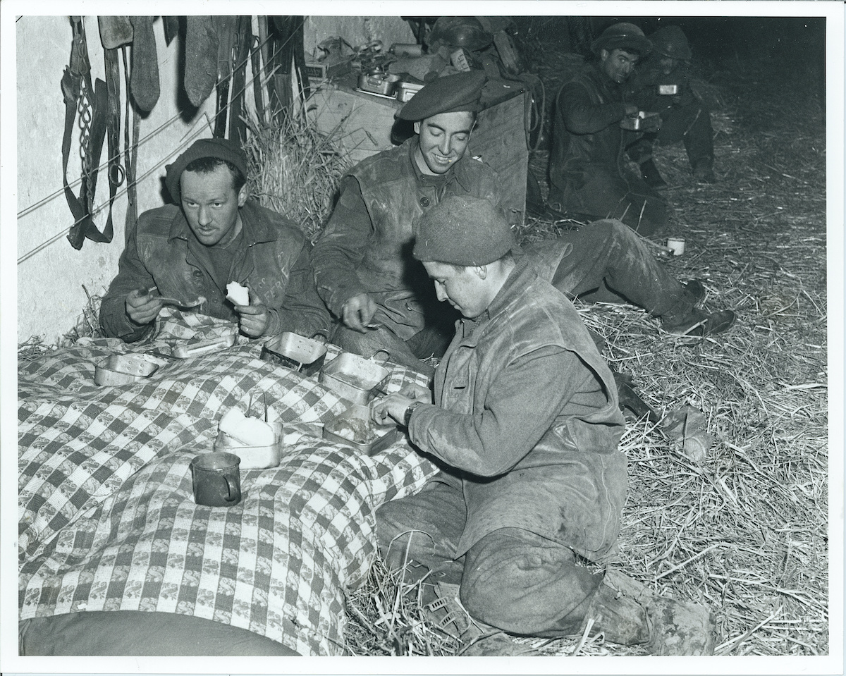 Argylls Chow Line Veen