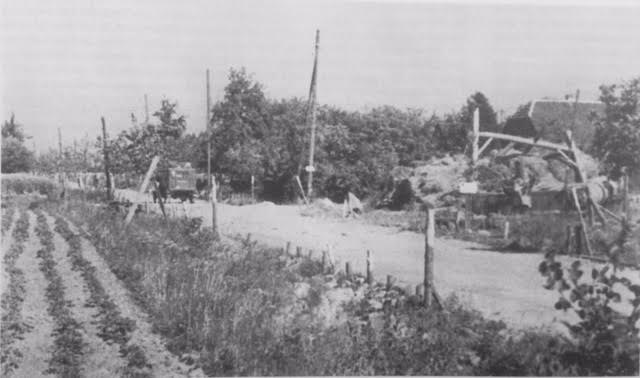 Argylls Chow Line Veen