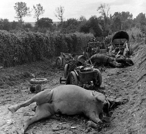 Remnants German Column Falaise August 1944